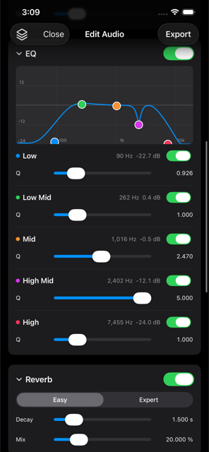 Graphic EQ and reverb controls